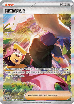 Janine's Secret Art (CSV9.5C)