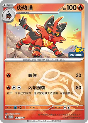 Torracat Master Ball Holo