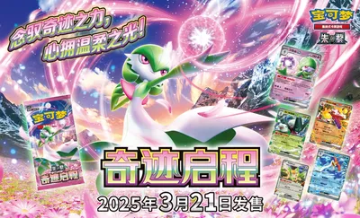 Miracle Journey